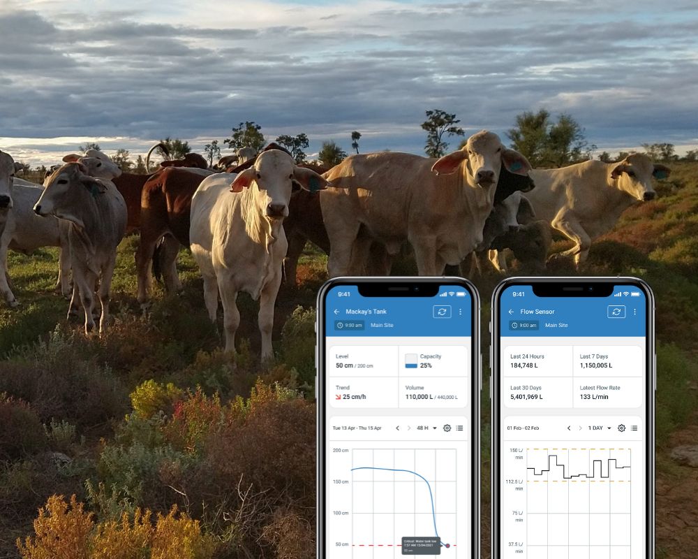 Changing Farm Management with Real-time Data
