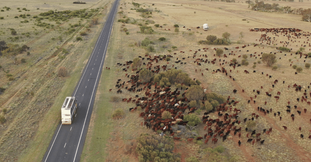 QLD Drought Preparedness Grants