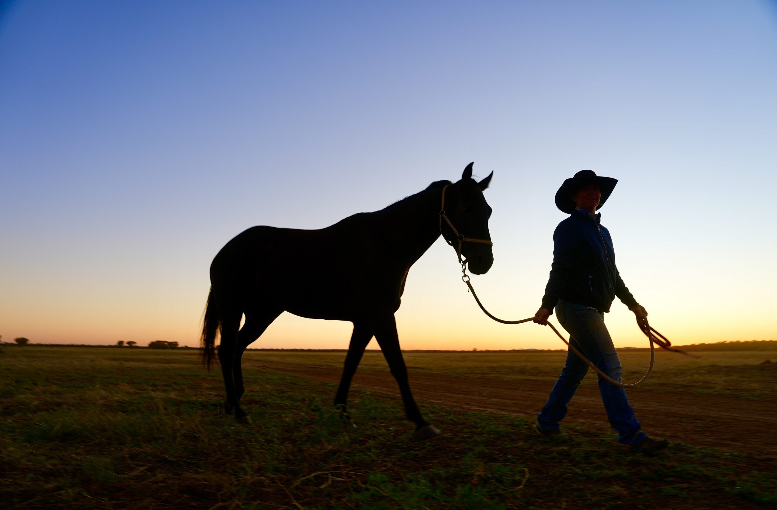 New meets old as agtech revolutionises cattle drive