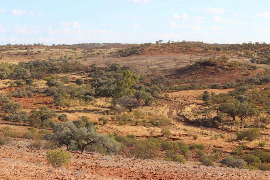 NT landscape