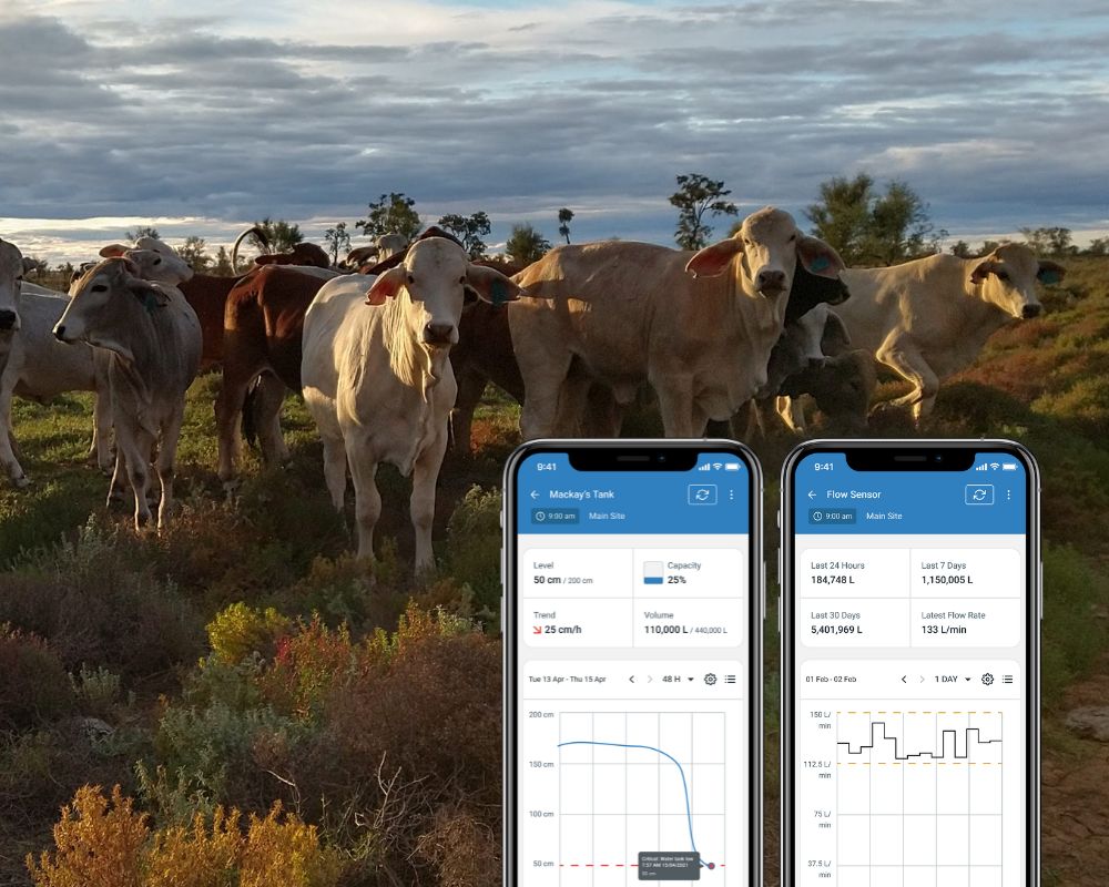 NSW Farmers Head Image