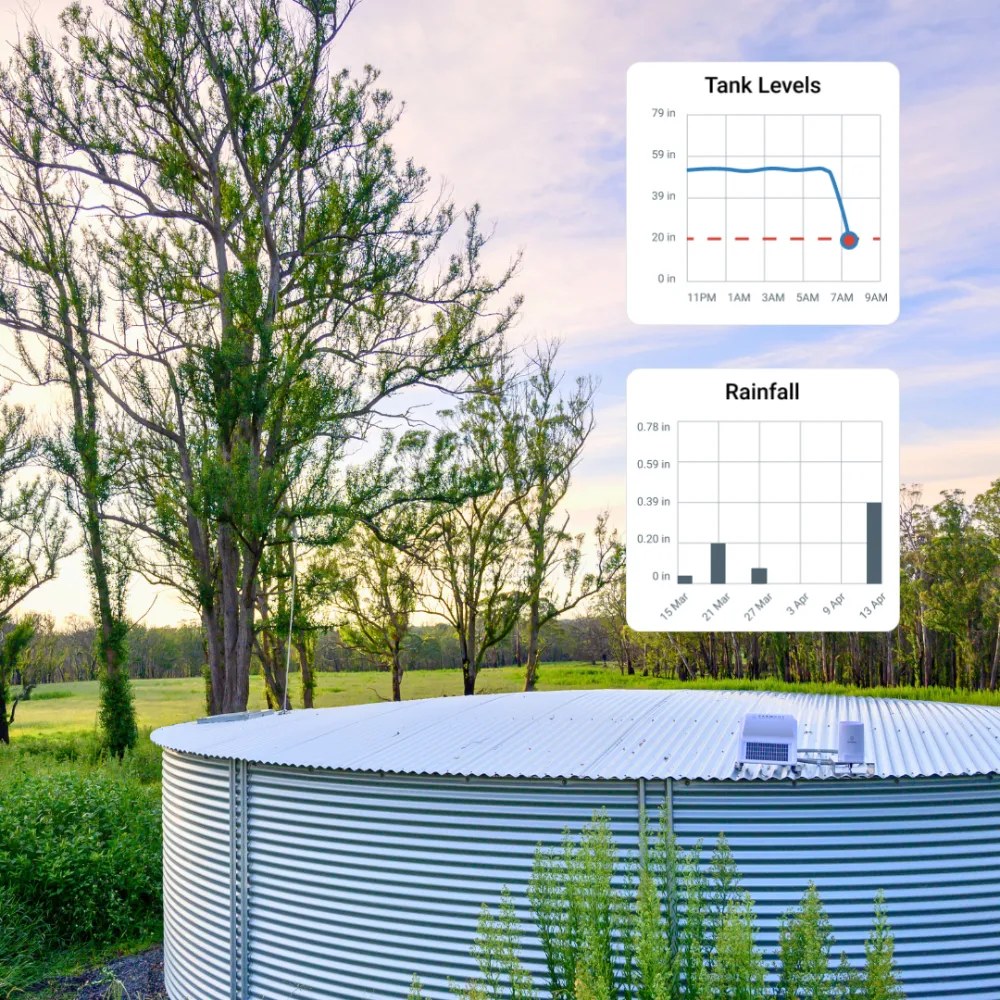 Rain Gauge (8)